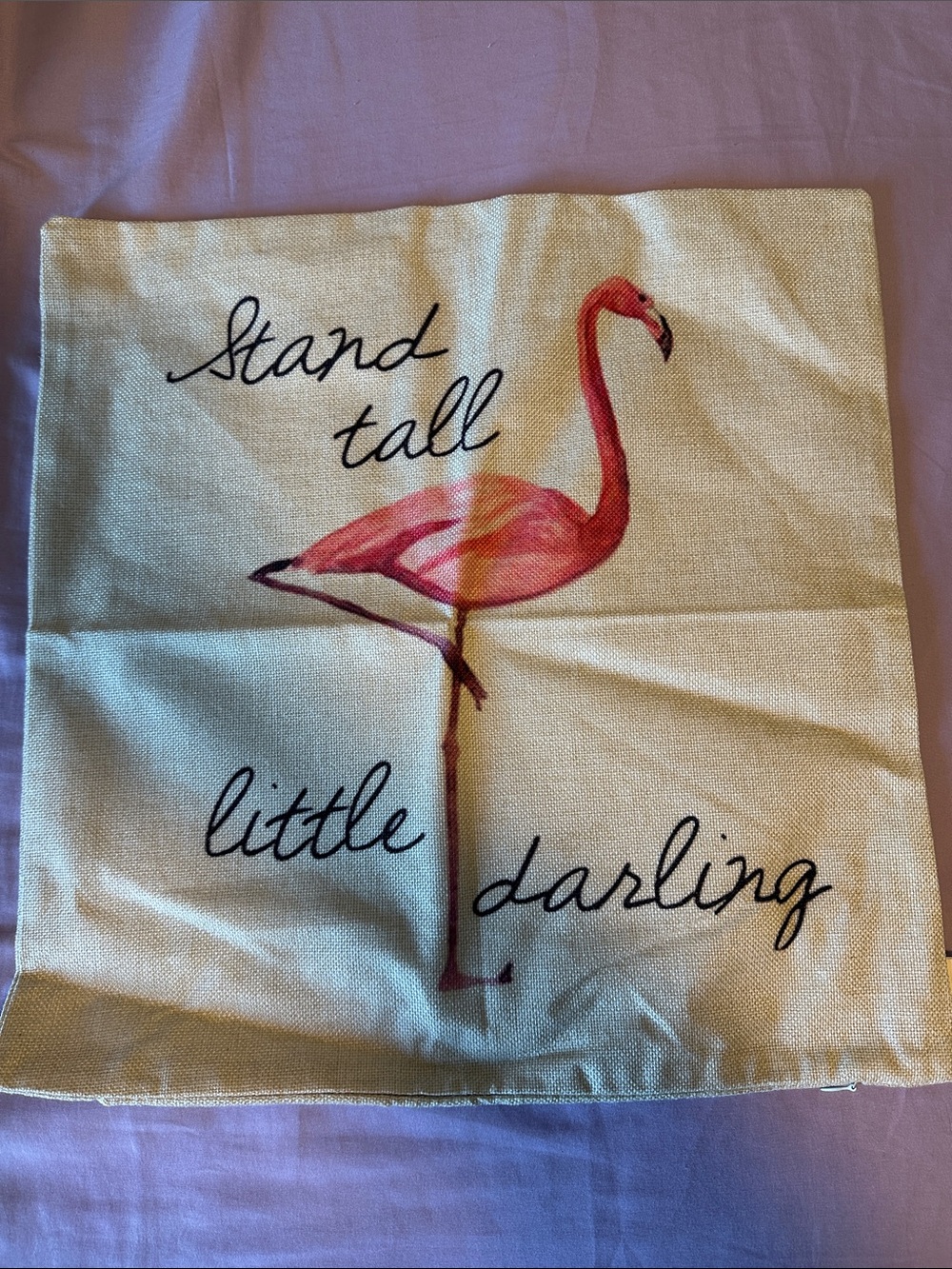 Flamingo 'Stand Tall Little Darling' Decorative Pillow Cover - Pink Flamingo